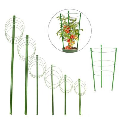 China Tomato Growing Tomato Cage For Garden Cage Flower Support Plant Indoor Outdoor Plastic Waterproof Cage for sale