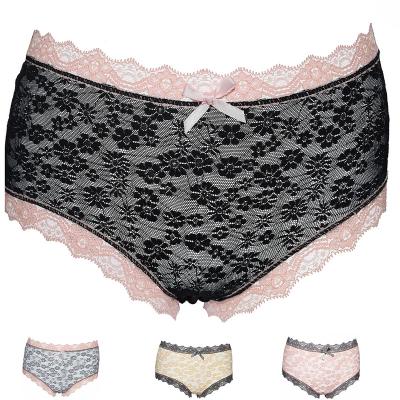 China Factory Directly Functional fabric Anti-Bacterial Underwear Briefs Women Lace Seamless Panties Sexy panty for sale