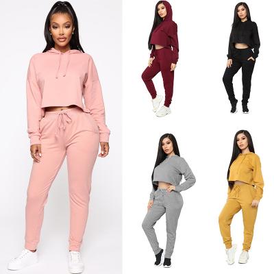 China QUICK DRY Comfortable Fleece Jogger Sweatsuit Two Piece Women Suit Hoodies Tracksuit for sale