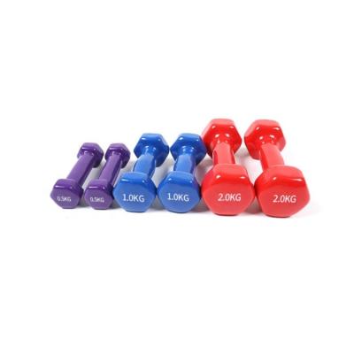 China Plastic Dip Dumbbell Factory High Quality Custom Women Use Vinyl Dipping Hex Dumbbell Set Fitness Gym Color Dumbbell For Sale for sale