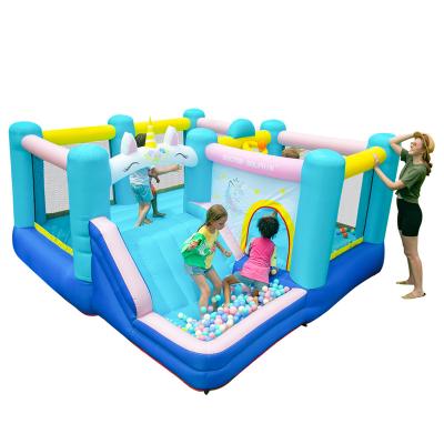 China Castle Air Family Party Doctor Dolphin BASIC Inflatable Big Bounce House Bounce Jumping Slide for sale