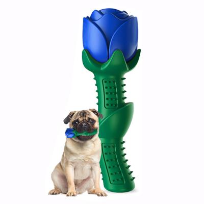 China Stocked Amazon Success Factory Wholesale Band Bite Resistant Simulation Mounted New Dog Toys Dog Toy Dog Birthday Toy for sale