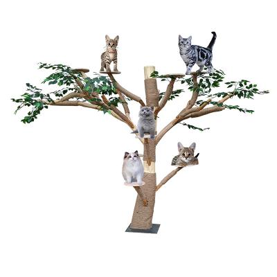 China Wholesale Customizable Heavy Duty Wooden Cat Tree Amazon Tall Tongtianzhu Cat Tree Scratch Plant Scratch Flower Cat Tree Stocked Cat Tree for sale