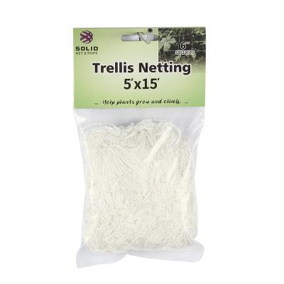 China Plant Support Plant Trellis Netting Garden Scog Net For Climbing Plants Cucumber Tomato Raspberry Flowers for sale