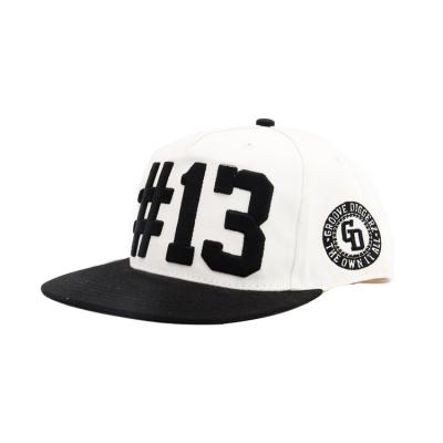 China Fashion Cool Custom Embroidery Brim Pattern Truck COMMON Hot Selling Double Sided Baseball Hat for sale