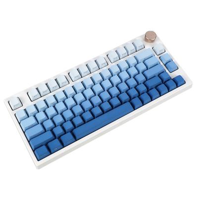 China Kludge RK H81 computer keyboard tri-modes 75% pad royal backlit gaming keyboard 81 keys RGB hotswap pad mount keyboard for sale