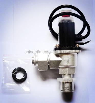 China General Alarm Gas Aluminum Alloy Gas Solenoid Valve Gas DC12V Special Valve for sale