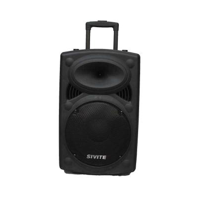 China Wireless Charger For Mobile Phone 15 Inch Outdoor Event Speakers Feature Sound Speakers for sale