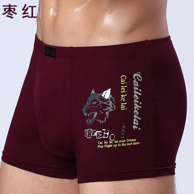 China High Quality Hot Mens Panties Antibacterial Boxers Fashion Mens Shorts Trunks Brand Cotton Underwear Printing Male Casual Briefs for sale