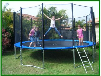 China trampolín grande del salto del amortiguador auxiliar el 10ft al aire libre de los 8ft con recinto/el trampolín de los niños en venta