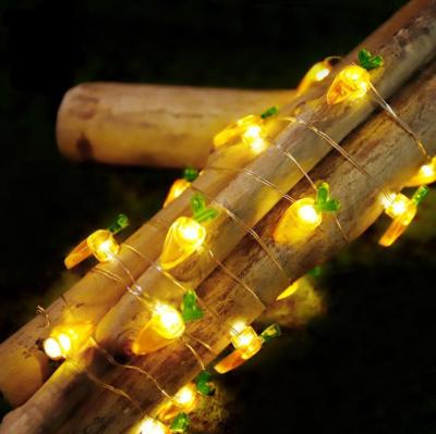 China String Lights 3m/30LED Copper Wiring Lights For Festival Decoration USB Interface Carrot Shape LED String Lights for sale