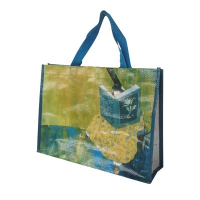 China Eco-friendly new design high quality pp woven shopping bag with pp webbing handles for sale