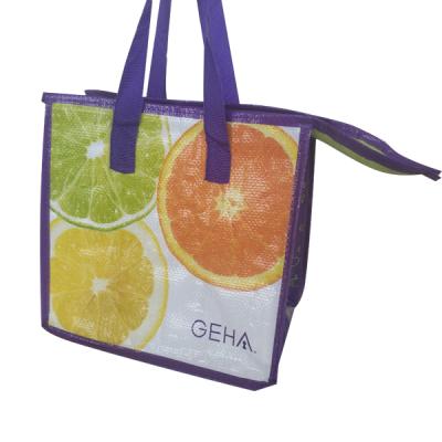 China Eco Friendly Waterproof Reusable Promotional PP Woven Sack Lunch Cooler Bag for sale