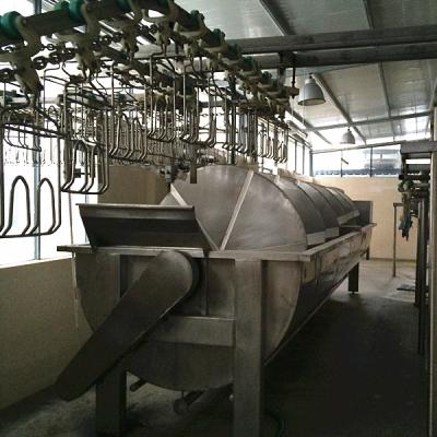 China High Efficiency Chicken Plucking Machine Or Poultry Slaughtering Equipment for sale