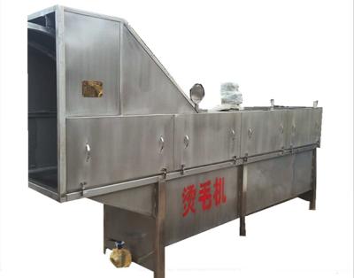 China Multifunctional Chicken Processing Line or Chicken Scalding Plucking Machine for sale