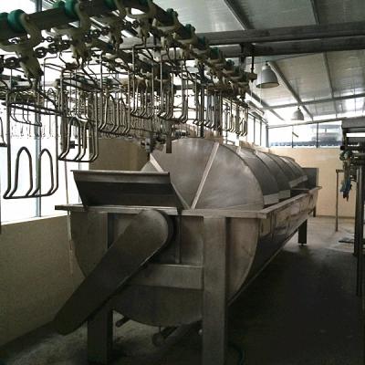 China POULTRY chicken slaughtering equipment or processing line for sale