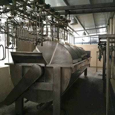 China Easily Operate Chicken Plucker Machine Chicken Scalding And Plucking Machine for sale