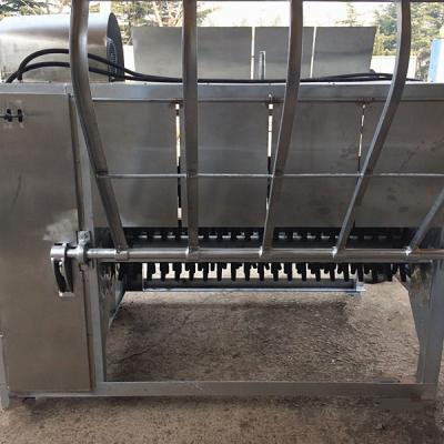 China High efficiency pig dehairer and scalding machine for sale