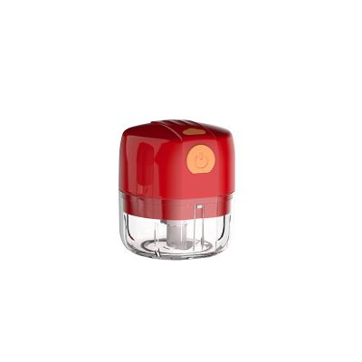 China Hot Sales 100ml/250ml Mini Radio Stocked Portable Electric Chopper Garlic Crusher for sale