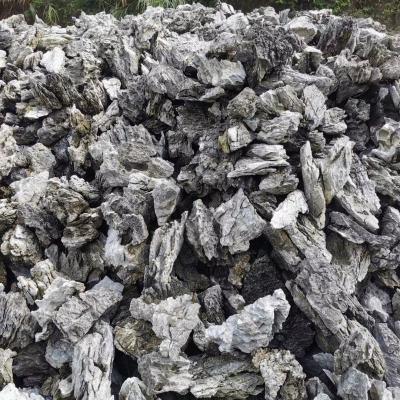 China Viable Wholesale Aquarium Rock Garden Landscaping Qinglong Aquarium Stone Wholesaler Dragon Park Stone For Commercial Aquarium Buyer Hotels for sale