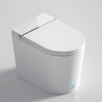 China Ceramictoilet 2023 Newcomer Foshan Lelin Cistern Ceramic Automatic Deodorization Ceramic Bathroom Toilet WC Hidden Smart Size for sale