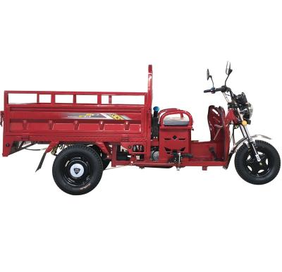 China CARGO GASOLINE ENGINE LITTLE FUEL CONSUMPTION CARGO TRICYCLE MINI MODEL for sale