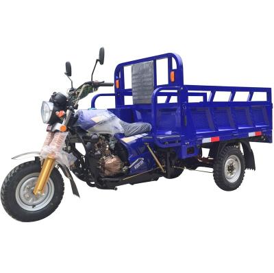 China New Three Wheel Cargo Motorcycle Gasoline Tricycle Adult Tricycle For Africa for sale