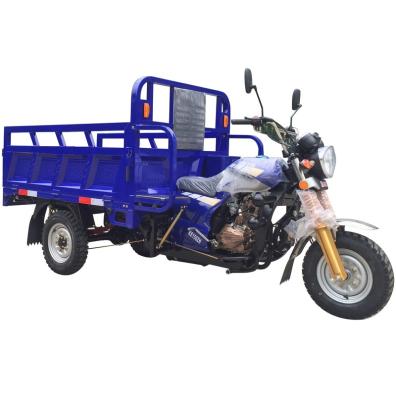 China Cargo 150cc 200cc Three Wheel General Cargo Tricycle For Sale for sale