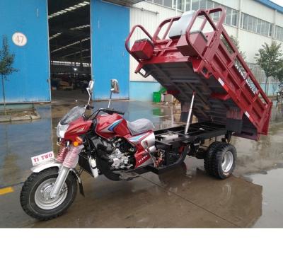 China Hot 250cc Gasoline Engine Cargo Tricycle Supplier 3 Wheel Bikes Africa TRICYCLE for sale