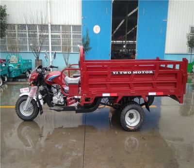 China 250cc heavy duty motorized cargo tricycle for cargo for sale for sale