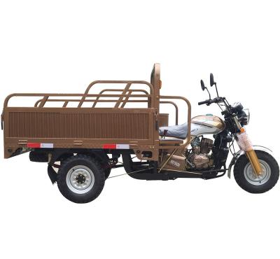 China High Quality China Cargo Motorcycle 3 Wheel Tricycle / Gasoline Motorcycle High Quality for sale