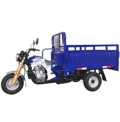 China Cargo china factory product cargo tricycle motorized gasoline 150cc 200cc zongshen engine for sale