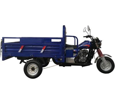 China High Quality Cargo Ghana Benin Egypt Gasoline Tricycle For Cargo Pick Up for sale