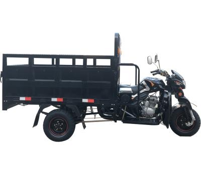 China 2019 Design Heavy Duty Cargo Design Strong Chassis Motorcycle Cargo Tricycle 150cc 200cc 250cc for sale