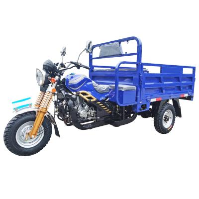 China Cargo China Top Ten Manufacture Gasoline 3 Wheel Motorcycle Gasoline Tricycle for sale