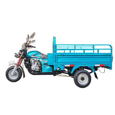 China Cargo Motorized Tricycles Three Wheel Motorcycle Tricycle Cargo Others Tricycles for sale