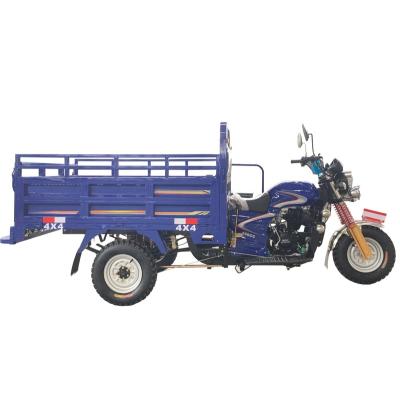 China Cargo 3 Wheel Motorcycle Trailer Cargo Tricycle Loaders Model HPF-4000 for sale