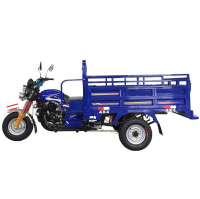 China Cargo Gasoline Tricycle 3 Wheel Motorcycle Cargo Tricycle HPF-4000 Model for sale