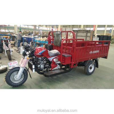 China Cargo Tipper for Kenya Motorcycle/Three Wheeler/Cargo Tricycle Bike for sale