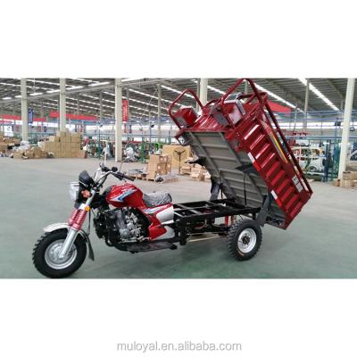 China Mini Tricycle Dump Truck Three Wheel Cargo Tipper Truck Hydraulic Dumper for sale