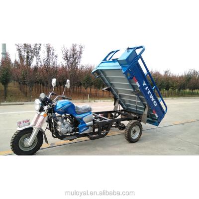 China Cargo Tipper Trucks For Sale Hydraulic Dumper 3 Wheel Cargo Tricycle With Seat Gasoline Tricycle for sale