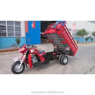 China Heavy Load Cargo Tricycle Open Box 3 Wheel Truck For Sale for sale