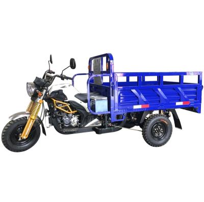 China Cargo 3 Wheel Trike Cargo Tricycle Gasoline 150cc 200cc 250cc for sale