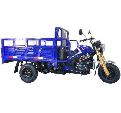 China Cargo Motorized Cargo Tricycle For Africa 3 Wheel Motorcycle for sale