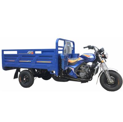 China JP-31 PETROL TRICYCLE 250cc motor motor tricycle water cooled cargo tricycle motorcycle model for sale