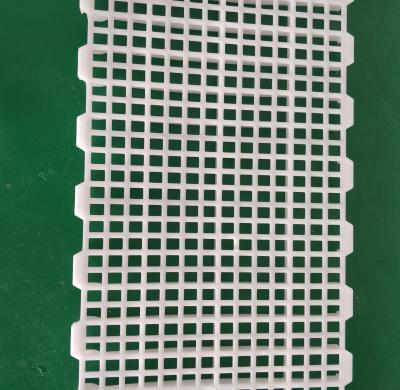 China 2020 new poultry plastic slat floor for broiler chicken farm house price for sale