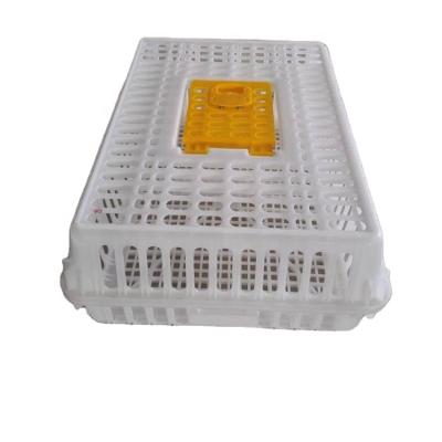 China poultry plastic transport crate transport cage plastic box for adult chicken on sale for sale