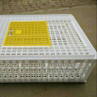 China plastic turnover crate for chicken chick broiler layer duck pigeon dove hen for sale