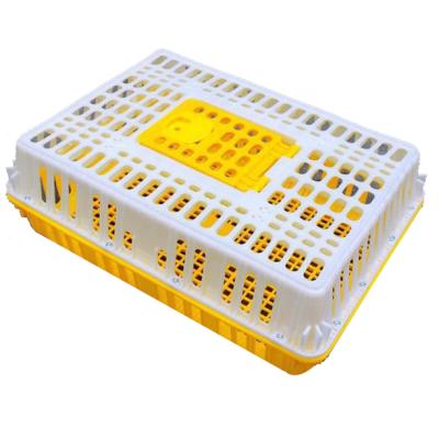 China live poultry plastic delivery crate plastic collapsible chicken transport cage for sale