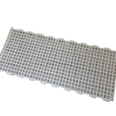 China new arrived 2019 poultry farming equipment plastic net floor/plastic mattress mesh for sale